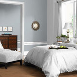 Gray Stone PPG1009-4- PPG Paint