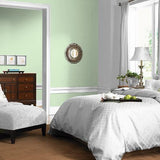 Lantana Lime PPG1224-4 - PPG Paint