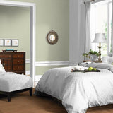 Only Olive PPG1123-4 - PPG Paint