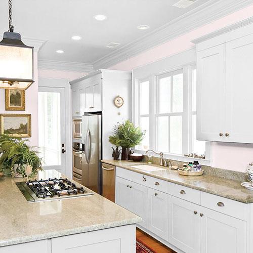 Bare Pink PPG1050-1 - PPG Paint