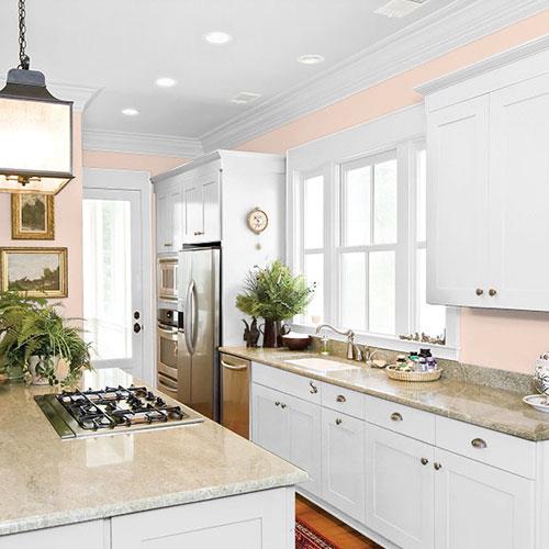 Blush Beige PPG1070-2 - PPG Paint