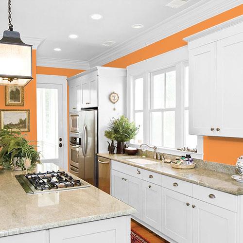 Carmelized Orange PPG1197-7 - PPG Paint