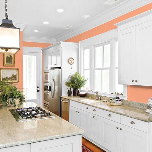 Coral Silk PPG1195-5 - PPG Paint