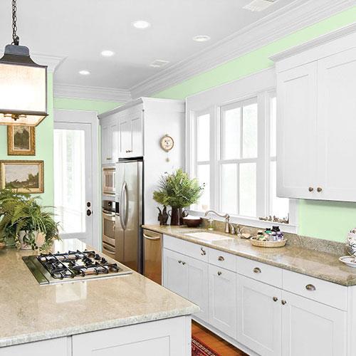 Lantana Lime PPG1224-4 - PPG Paint