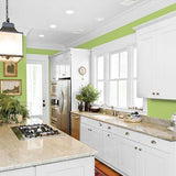 Lime Green PPG1222-5 - PPG Paint