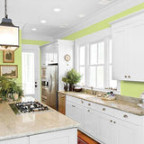 Lime Splash PPG1217-5 - PPG Paint