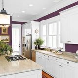 Positively Purple - PPG13-08 PPG Paint