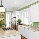 Luscious Lime PPG1120-6 - PPG Paint