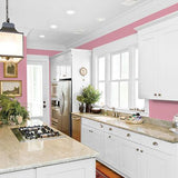 Madagascar Pink PPG1050-4 - PPG Paint