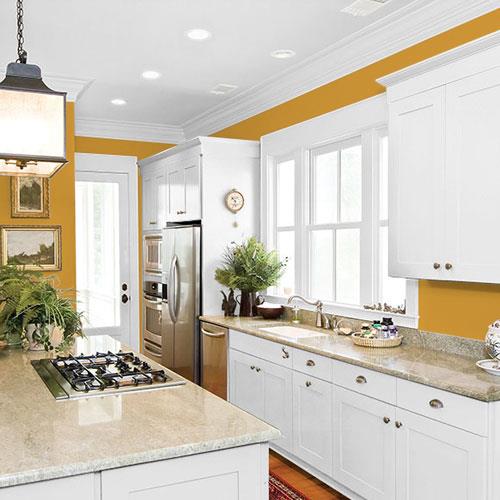 Mecca Gold PPG1209-7 - PPG Paint