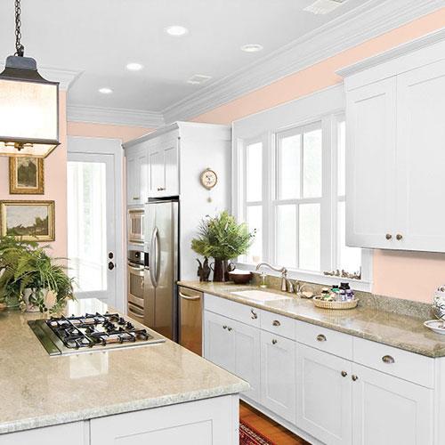 Melon Pink PPG1195-3 - PPG Paint