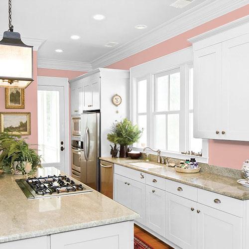 Mesa Pink PPG1058-4 - PPG Paint