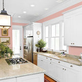 Mesa Pink PPG1058-4 - PPG Paint