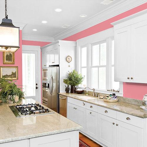 Pink Flambe PPG1186-4 - PPG Paint