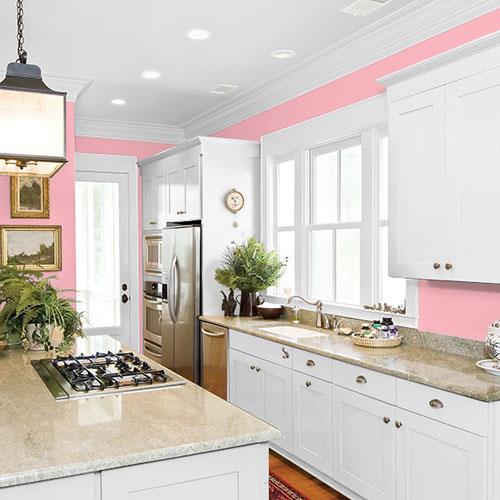 Powder Rose PPG1184-3 - PPG Paint