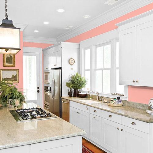 Riviera Rose PPG1189-4 - PPG Paint