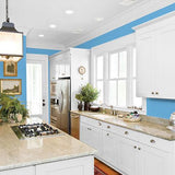 Salem Blue PPG1239-4 - PPG Paint