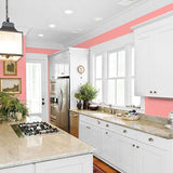 Salmon Pink PPG1188-4 - PPG Paint