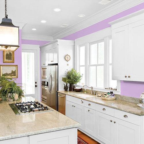 Windsor Purple - PPG1249-4 - PPG Paint