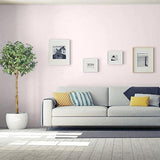 Bare Pink PPG1050-1 - PPG Paint