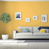 Bright Idea PPG1210-5 - PPG Paint