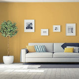 Butterscotch Bliss PPG1106-5- PPG Paint