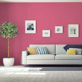 Cherry Pink PPG1183-6 - PPG Paint