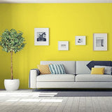 Citrus Spice PPG1216-6 - PPG Paint