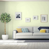 Cool Yellow PPG1216-2 Paint