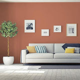 Copper Beech PPG1067-5 - PPG Paint