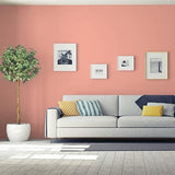 Coral Blush PPG1191-4 - PPG Paint