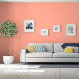 Coral Serenade PPG1193-5 - PPG Paint