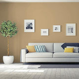 Earthy Ocher PPG1086-5 - PPG Paint