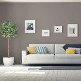 Elephant Gray PPG1005-5 - PPG Paint