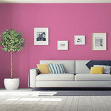 Florentine Pink PPG17-09 - PPG Paint