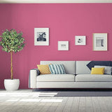 Geranium Pink PPG1182-6 - PPG Paint