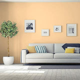 Ginger Peach PPG1203-4- PPG Paint