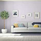 Violet Shadow - PPG1170-3 - PPG Paint