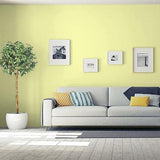 Lemon Pepper PPG1216-4 - PPG Paint