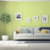 Lime Splash PPG1217-5 - PPG Paint