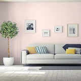 Limoge Pink PPG1190-1 - PPG Paint