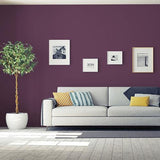 Positively Purple - PPG13-08 PPG Paint