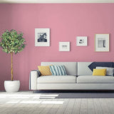 Madagascar Pink PPG1050-4 - PPG Paint