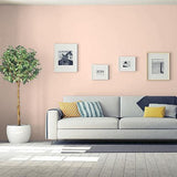 Melon Pink PPG1195-3 - PPG Paint