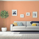 Orange Clay PPG1200-4 - PPG Paint