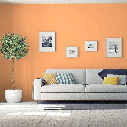 Orange Marmalade PPG1197-5 - PPG Paint