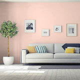 Pale Coral PPG1063-3 - PPG Paint