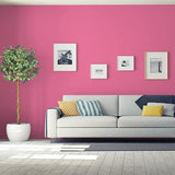 Paris Pink PPG1181-6 - PPG Paint