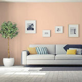 Peach Beauty PPG18-27 - PPG Paint