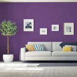 Perfectly Purple - PPG1176-7 PPG Paint